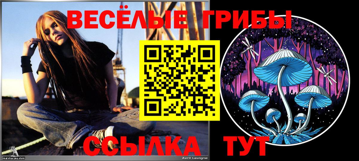 Псилоцибиновые грибы GOLDEN TEACHER Кизилюрт