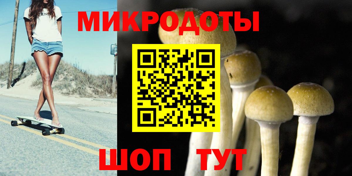 Кизилюрт  Галлюциногенные грибы Cubensis  Вход с VPN  Псилоцибиновые грибы Psilocybine cubensis 
